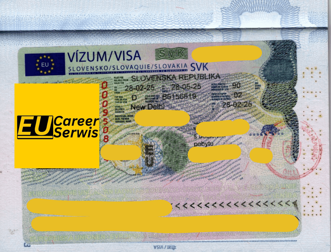 Visa Stamp 11
